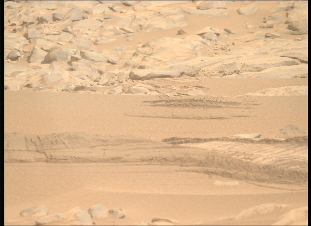 This image was taken by MCZ_RIGHT onboard NASA's Mars rover Perseverance on Sol 1102