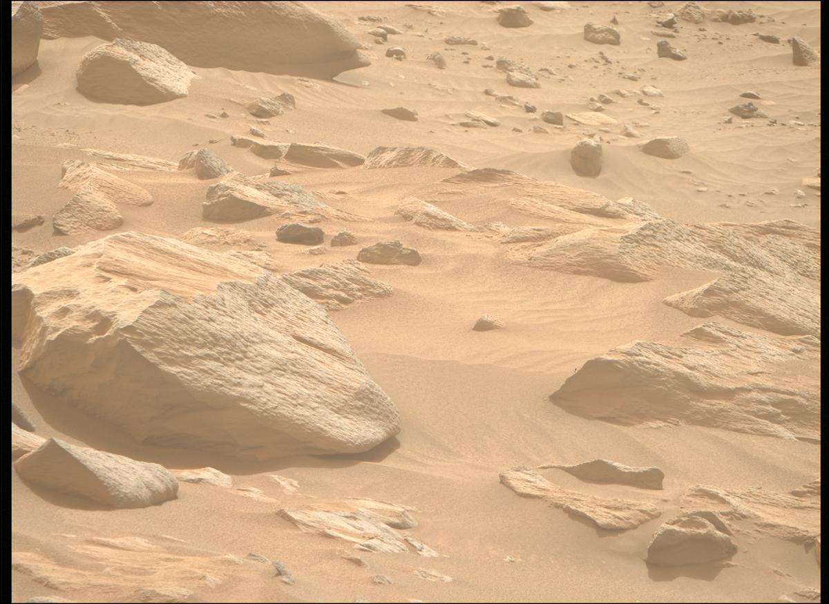 This image was taken by MCZ_RIGHT onboard NASA's Mars rover Perseverance on Sol 1102