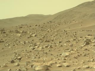 View image taken on Mars, Mars Perseverance Sol 1106: Left Navigation Camera (Navcam)