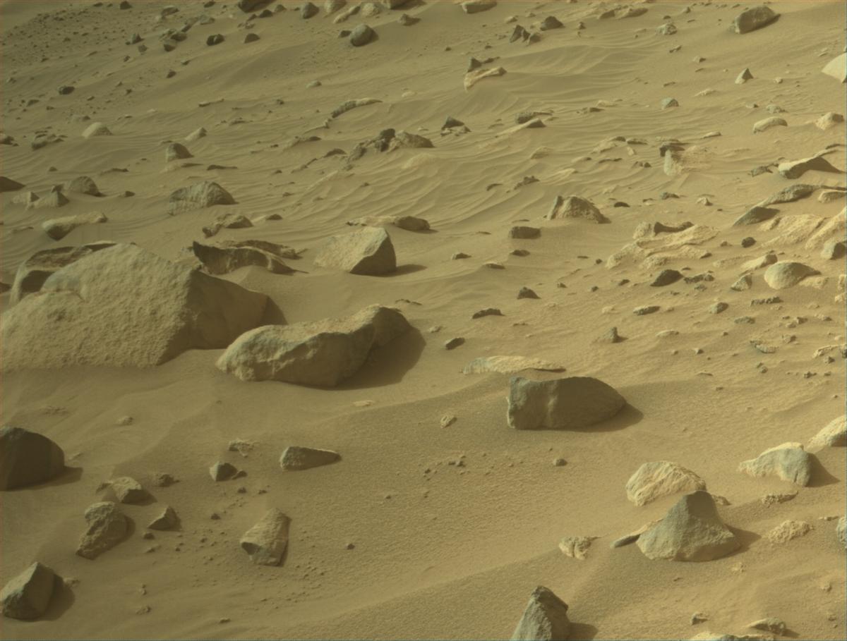 This image was taken by NAVCAM_LEFT onboard NASA's Mars rover Perseverance on Sol 1106