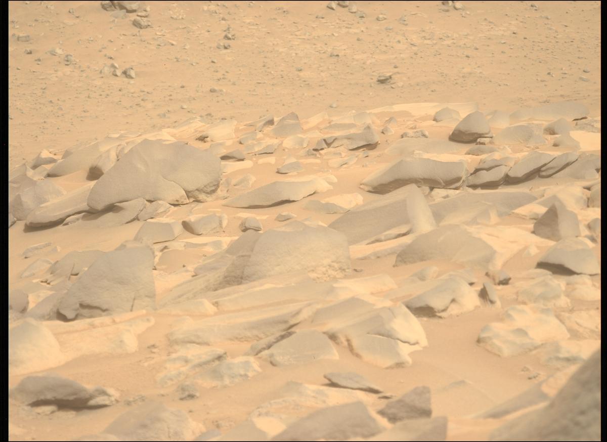 This image was taken by MCZ_LEFT onboard NASA's Mars rover Perseverance on Sol 1106