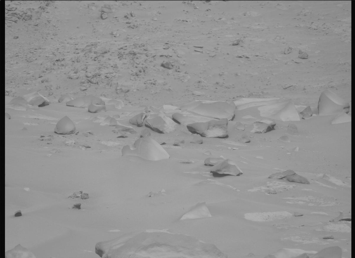 This image was taken by MCZ_LEFT onboard NASA's Mars rover Perseverance on Sol 1106