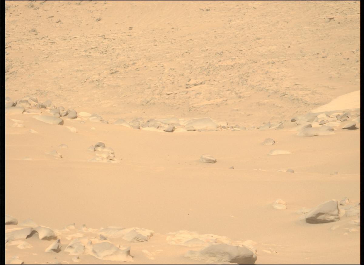 This image was taken by MCZ_LEFT onboard NASA's Mars rover Perseverance on Sol 1106