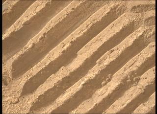 View image taken on Mars, Mars Perseverance Sol 1108: Left Mastcam-Z Camera