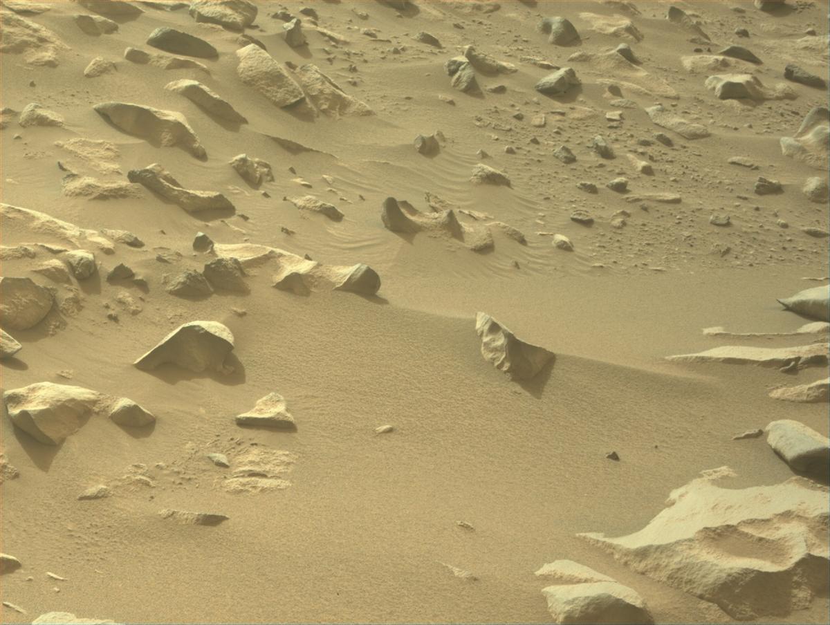 This image was taken by NAVCAM_RIGHT onboard NASA's Mars rover Perseverance on Sol 1109