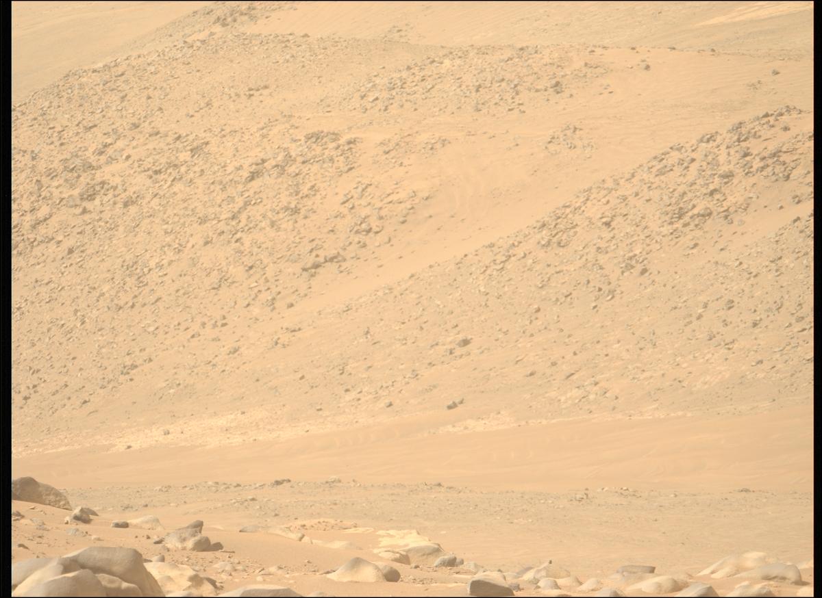 This image was taken by MCZ_LEFT onboard NASA's Mars rover Perseverance on Sol 1109