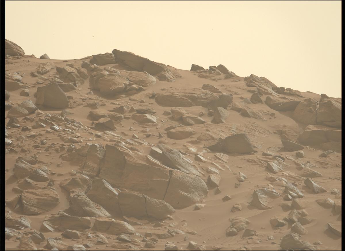 This image was taken by MCZ_LEFT onboard NASA's Mars rover Perseverance on Sol 1110