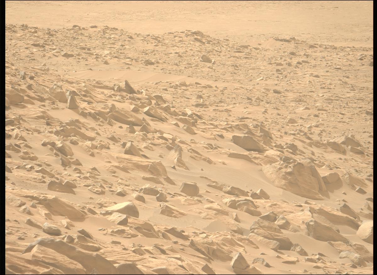 This image was taken by MCZ_LEFT onboard NASA's Mars rover Perseverance on Sol 1110