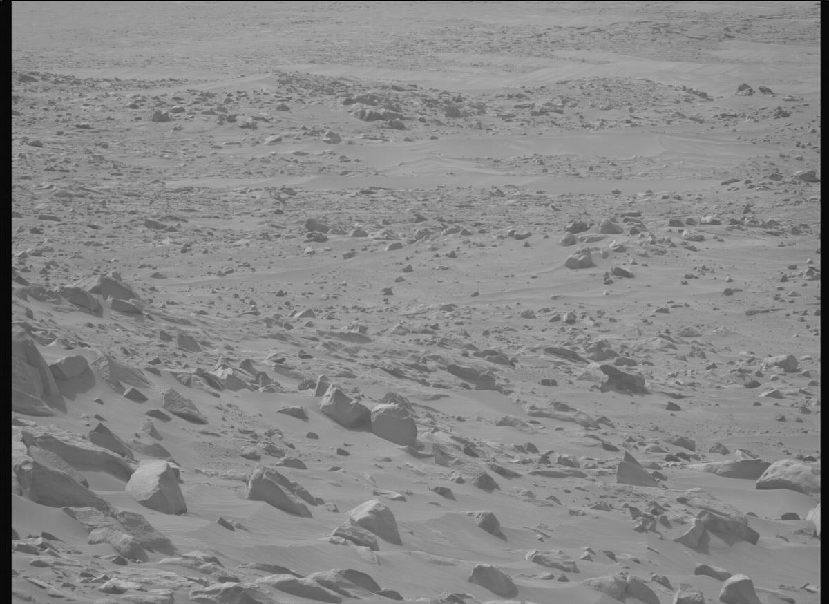 This image was taken by MCZ_LEFT onboard NASA's Mars rover Perseverance on Sol 1110