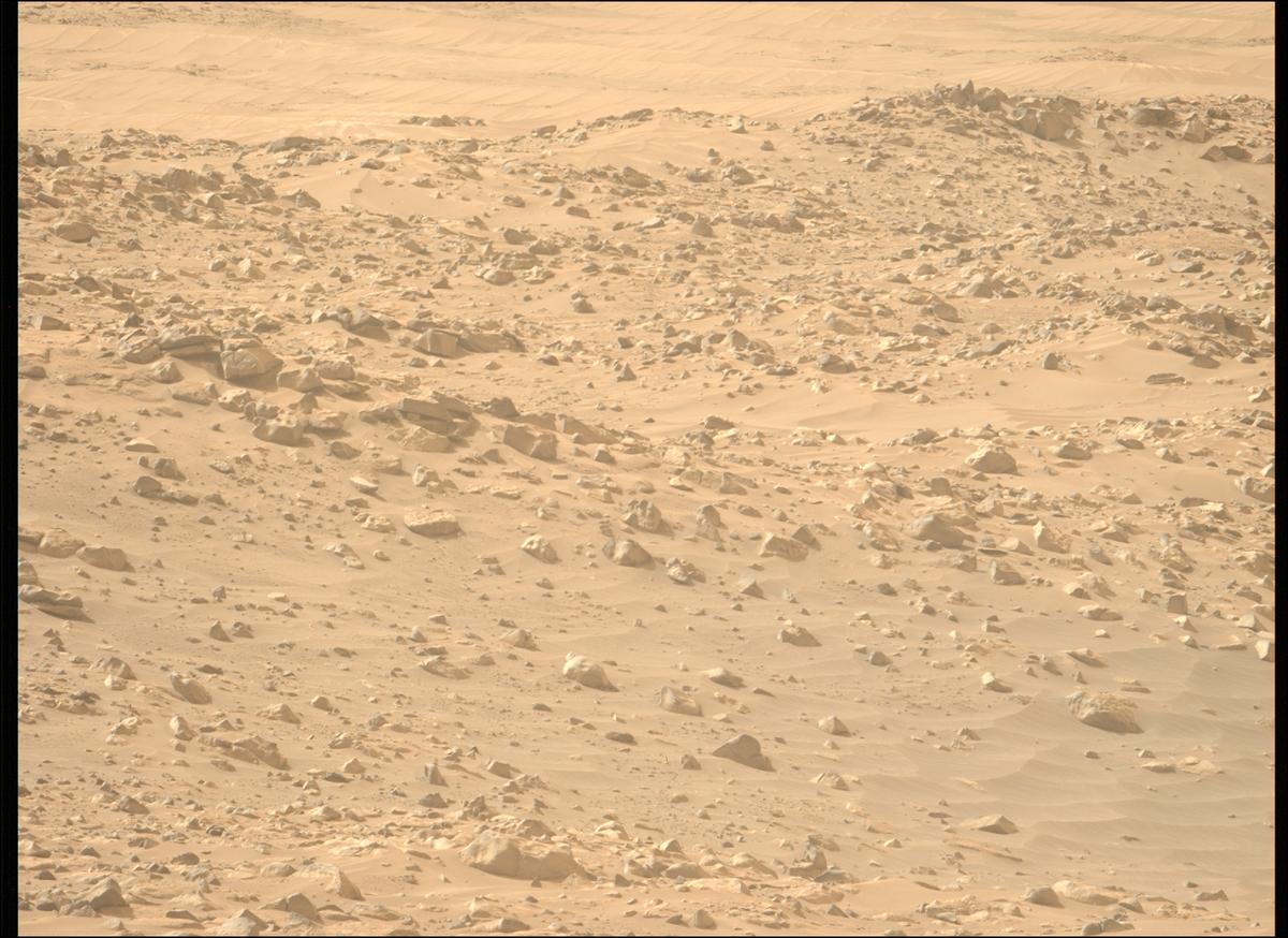 This image was taken by MCZ_LEFT onboard NASA's Mars rover Perseverance on Sol 1110
