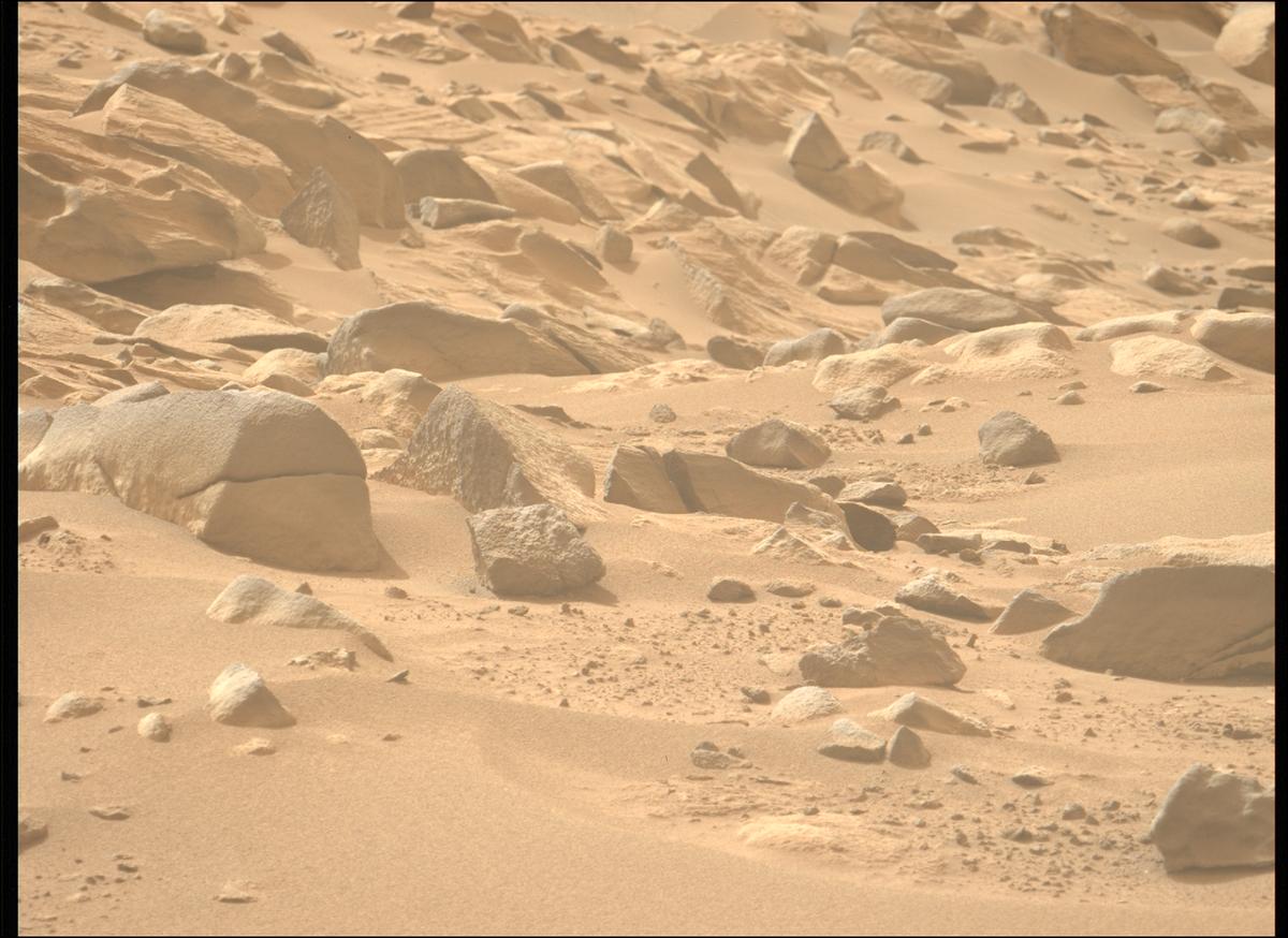 This image was taken by MCZ_LEFT onboard NASA's Mars rover Perseverance on Sol 1110