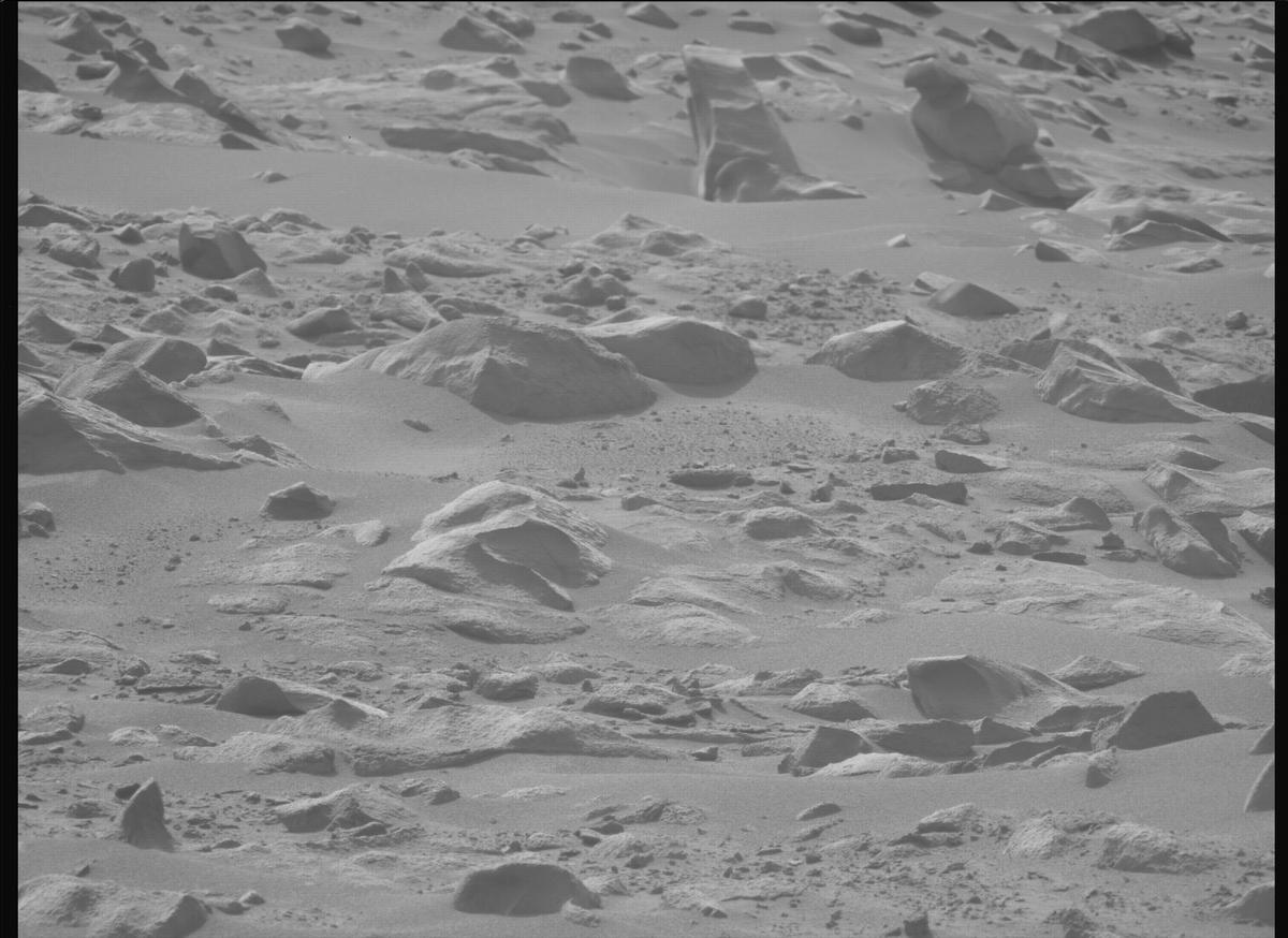This image was taken by MCZ_LEFT onboard NASA's Mars rover Perseverance on Sol 1110