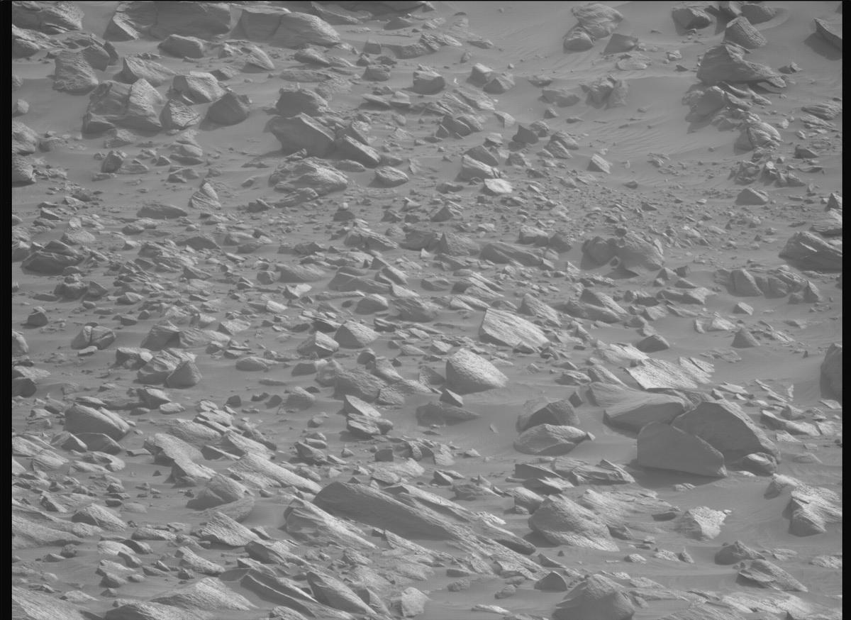 This image was taken by MCZ_LEFT onboard NASA's Mars rover Perseverance on Sol 1110