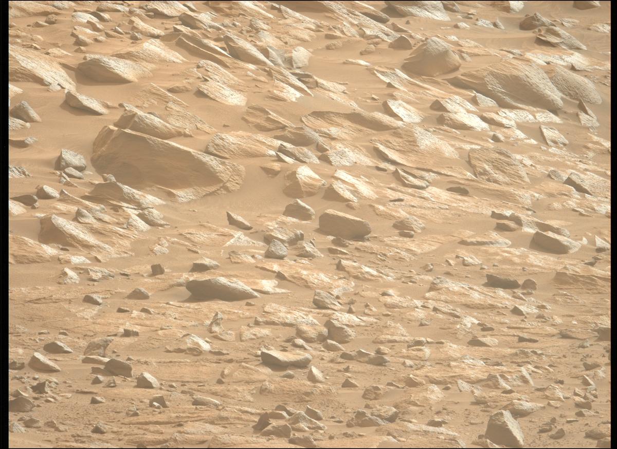 This image was taken by MCZ_LEFT onboard NASA's Mars rover Perseverance on Sol 1110