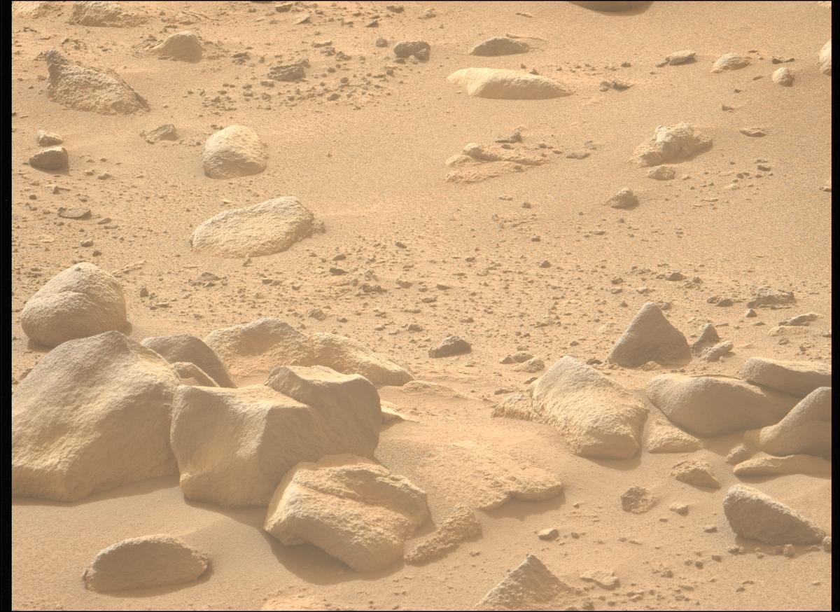 This image was taken by MCZ_LEFT onboard NASA's Mars rover Perseverance on Sol 1110