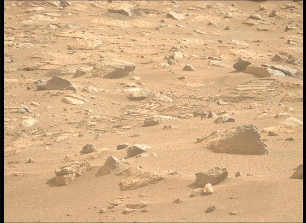 This image was taken by MCZ_LEFT onboard NASA's Mars rover Perseverance on Sol 1110