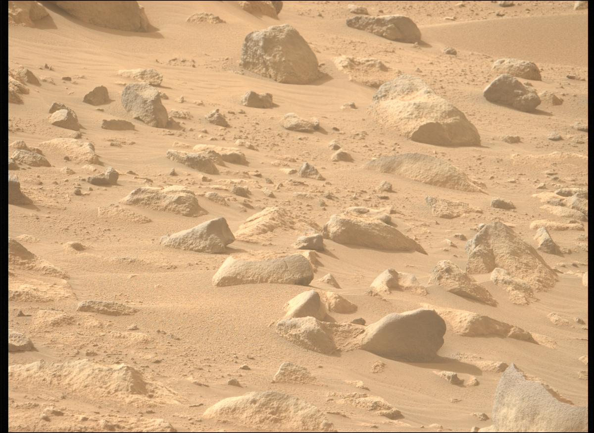 This image was taken by MCZ_LEFT onboard NASA's Mars rover Perseverance on Sol 1110