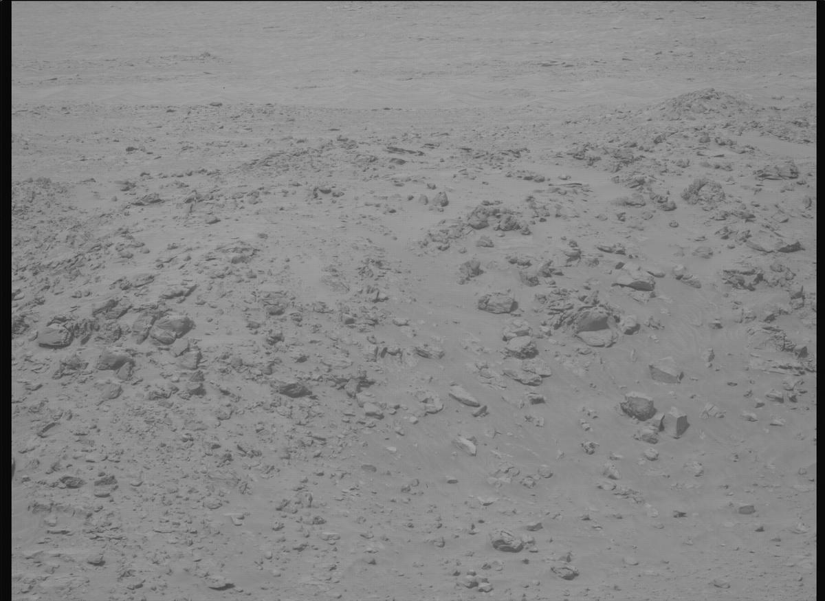 This image was taken by MCZ_LEFT onboard NASA's Mars rover Perseverance on Sol 1110