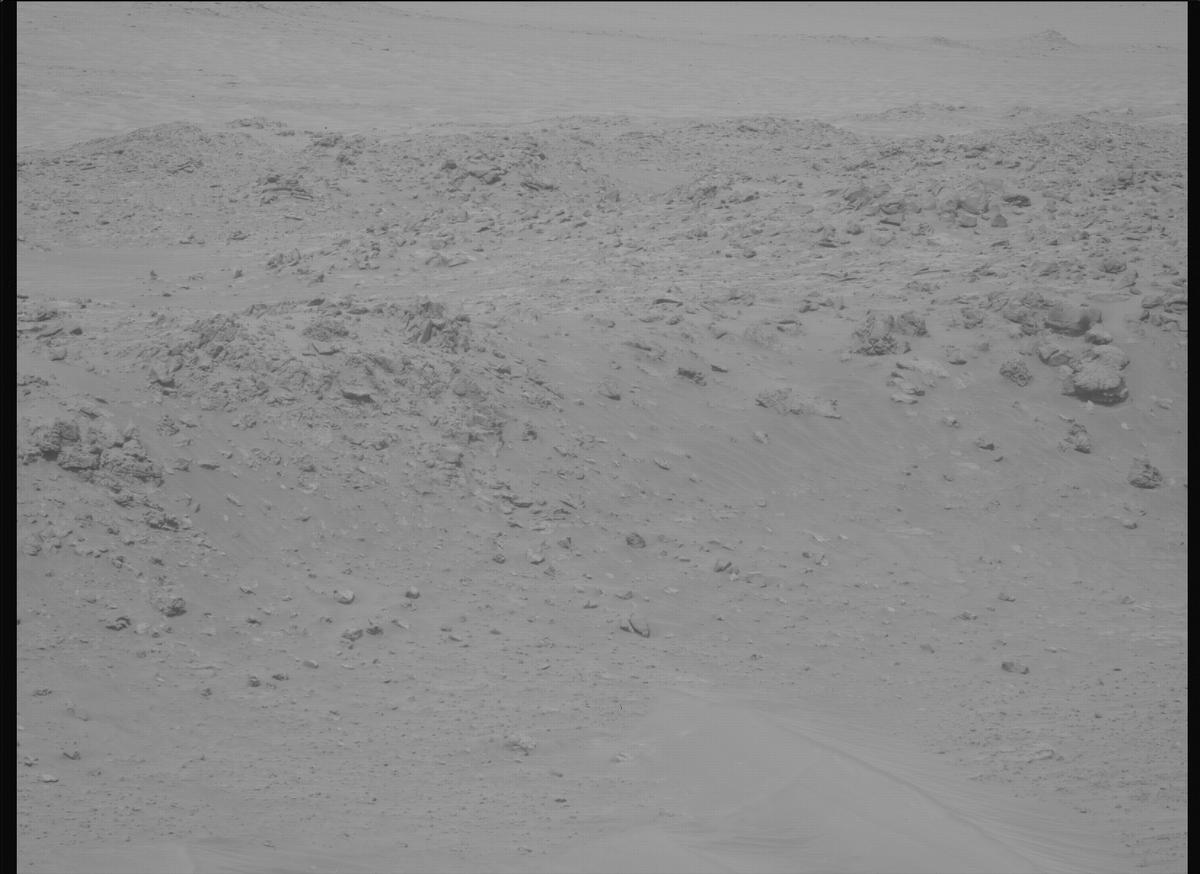 This image was taken by MCZ_LEFT onboard NASA's Mars rover Perseverance on Sol 1110