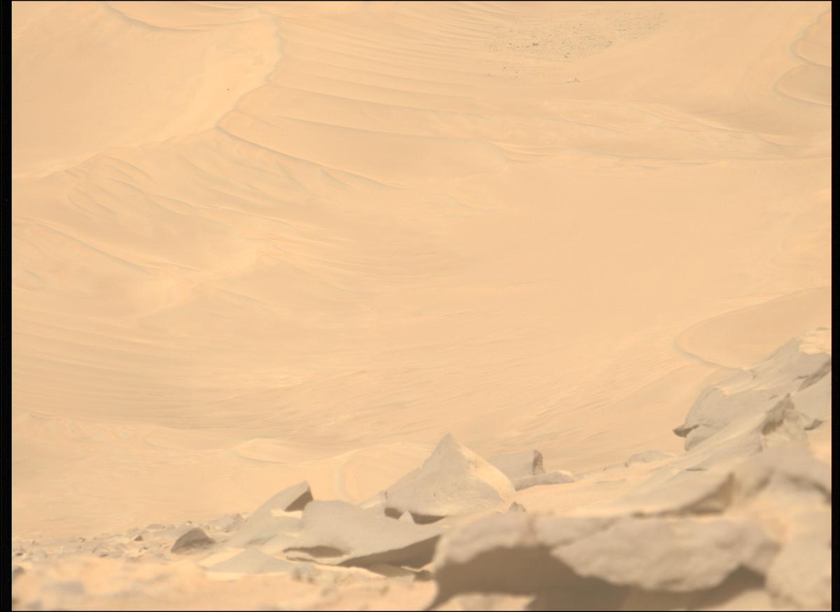 This image was taken by MCZ_LEFT onboard NASA's Mars rover Perseverance on Sol 1110