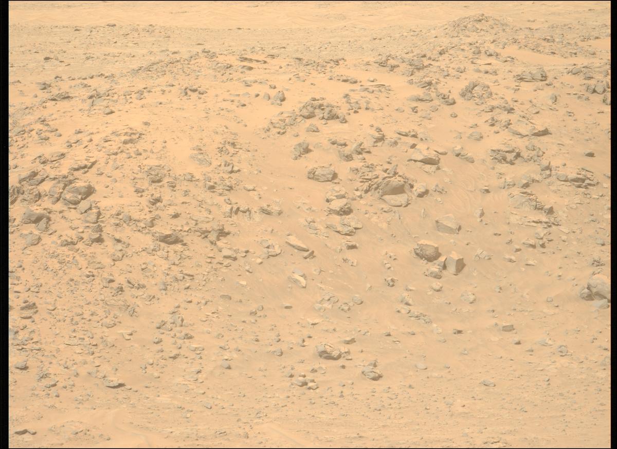 This image was taken by MCZ_LEFT onboard NASA's Mars rover Perseverance on Sol 1110