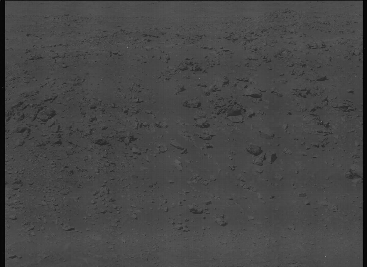 This image was taken by MCZ_LEFT onboard NASA's Mars rover Perseverance on Sol 1110