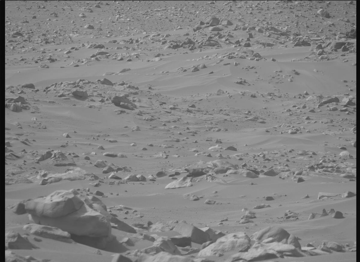 This image was taken by MCZ_RIGHT onboard NASA's Mars rover Perseverance on Sol 1110