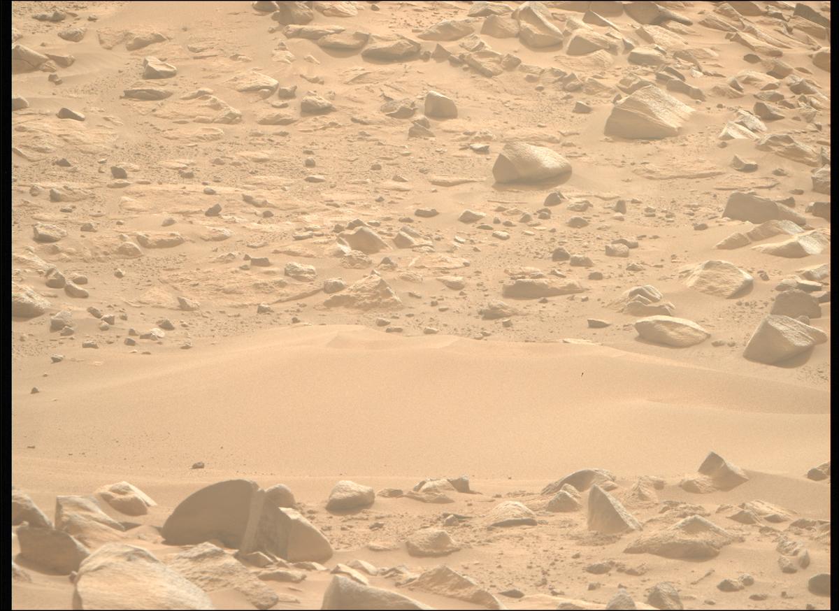 This image was taken by MCZ_RIGHT onboard NASA's Mars rover Perseverance on Sol 1110