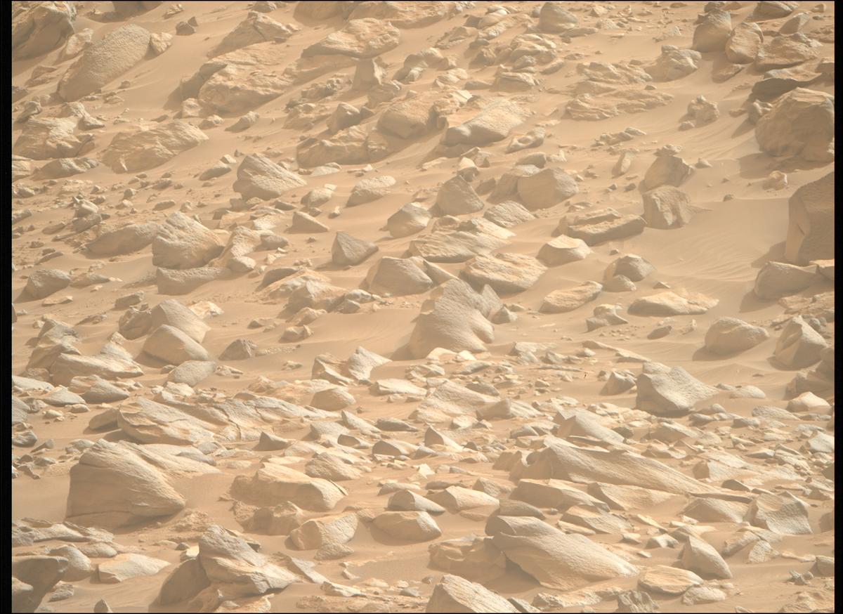 This image was taken by MCZ_RIGHT onboard NASA's Mars rover Perseverance on Sol 1110