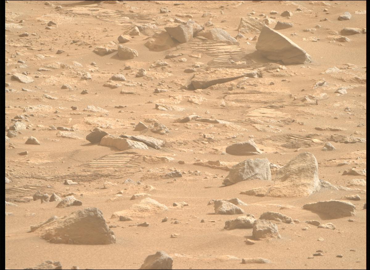 This image was taken by MCZ_RIGHT onboard NASA's Mars rover Perseverance on Sol 1110