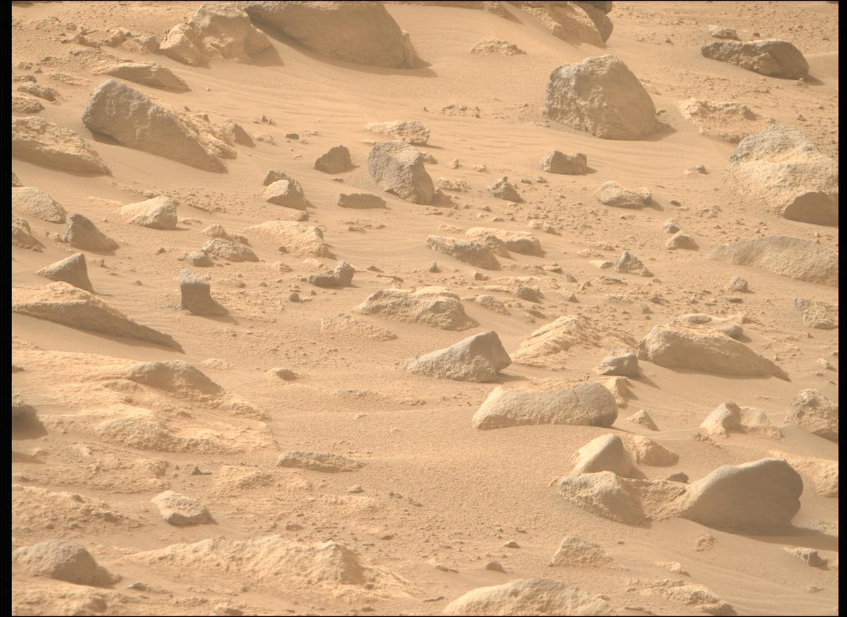 This image was taken by MCZ_RIGHT onboard NASA's Mars rover Perseverance on Sol 1110