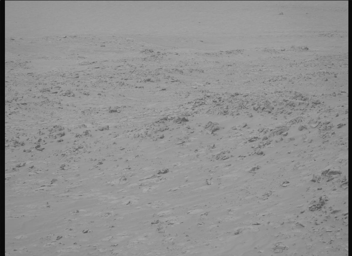 This image was taken by MCZ_RIGHT onboard NASA's Mars rover Perseverance on Sol 1110