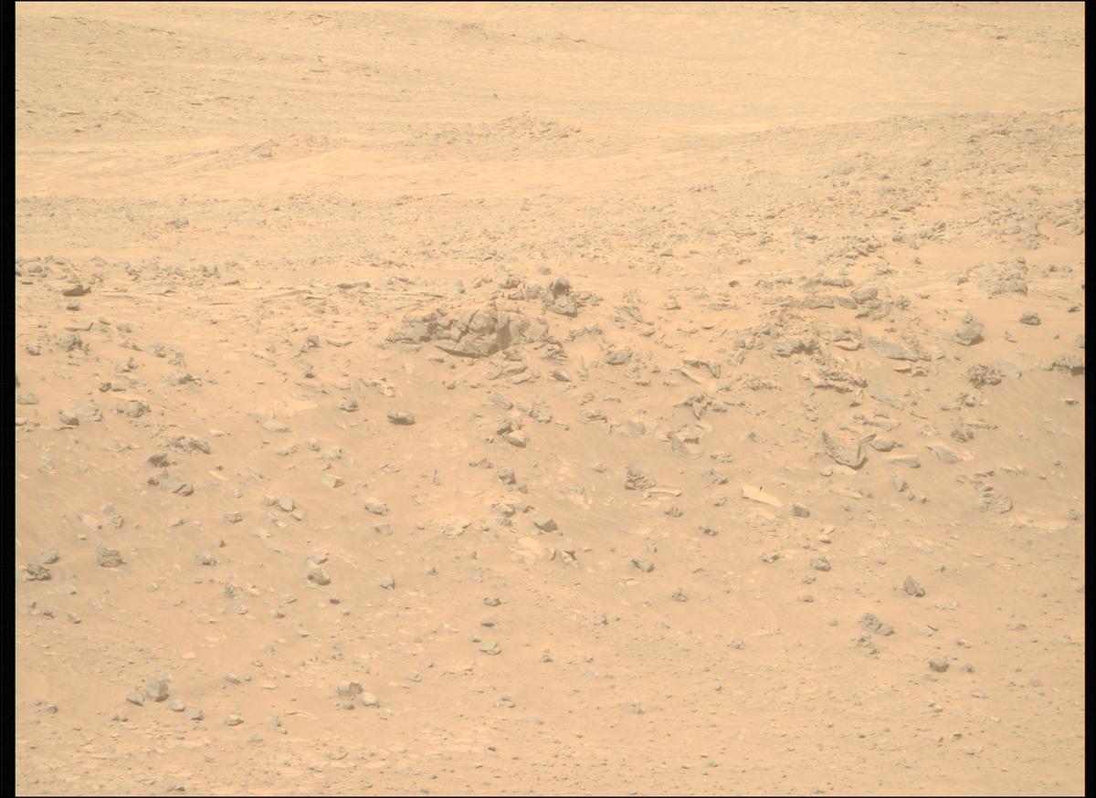 This image was taken by MCZ_RIGHT onboard NASA's Mars rover Perseverance on Sol 1110