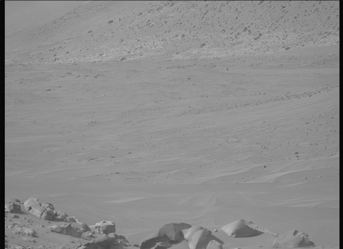 This image was taken by MCZ_LEFT onboard NASA's Mars rover Perseverance on Sol 1112