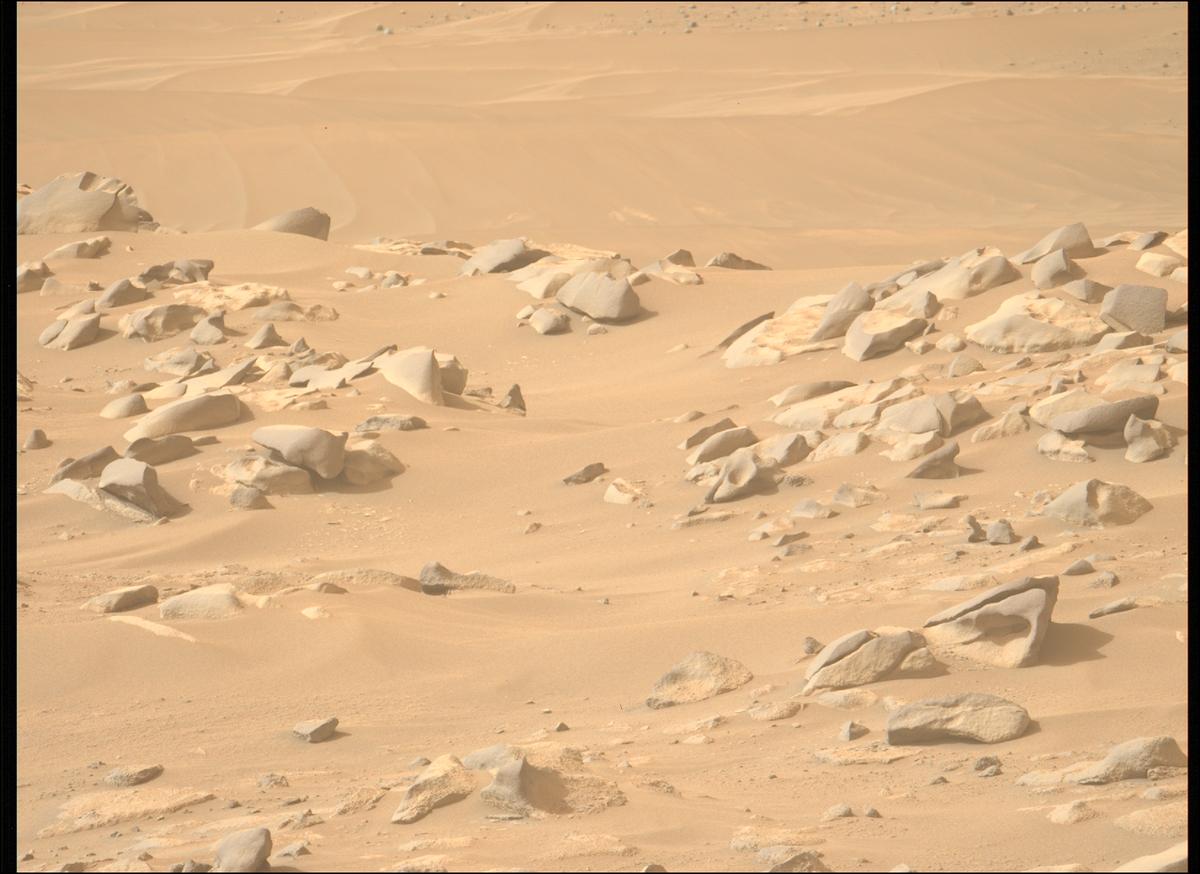 This image was taken by MCZ_LEFT onboard NASA's Mars rover Perseverance on Sol 1112