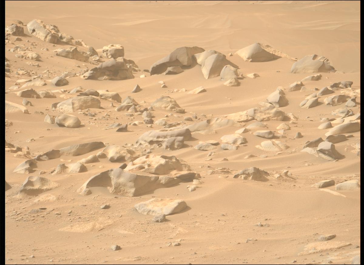 This image was taken by MCZ_LEFT onboard NASA's Mars rover Perseverance on Sol 1112