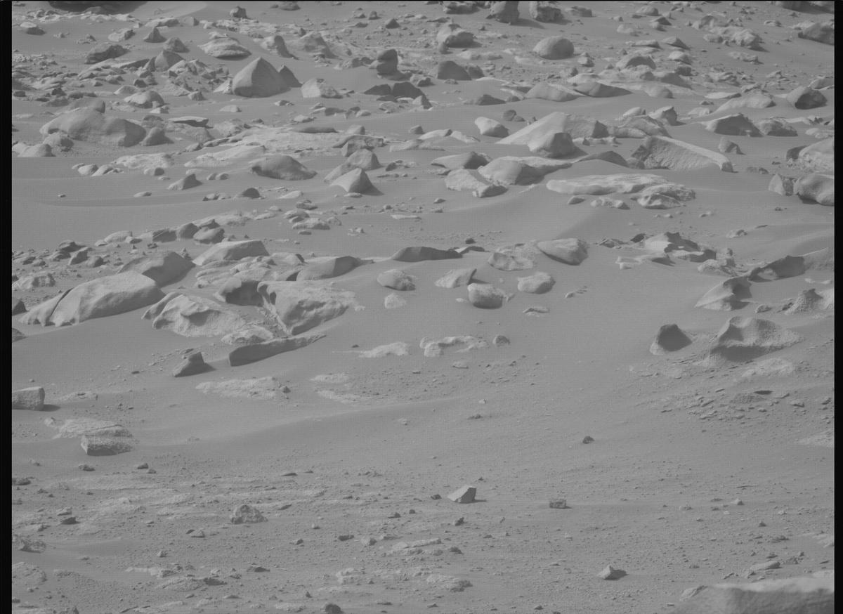 This image was taken by MCZ_LEFT onboard NASA's Mars rover Perseverance on Sol 1112