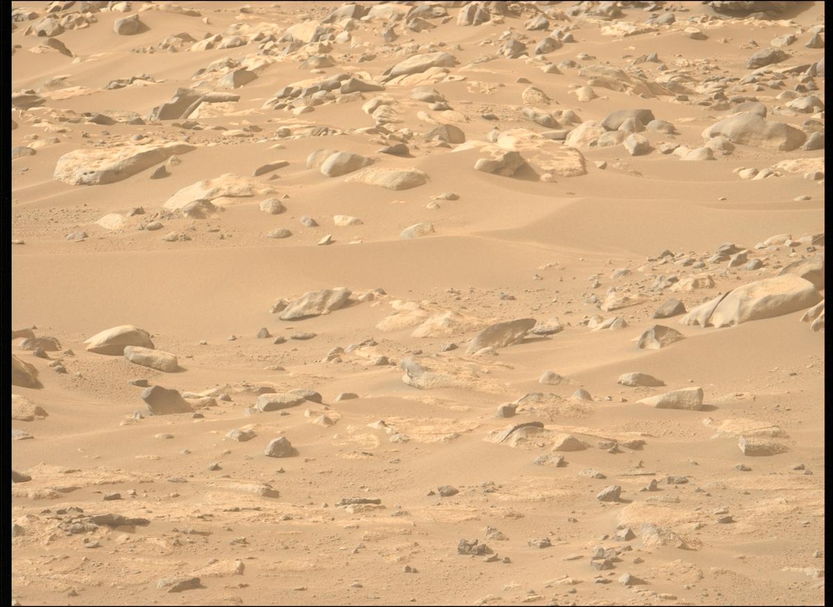 This image was taken by MCZ_LEFT onboard NASA's Mars rover Perseverance on Sol 1112