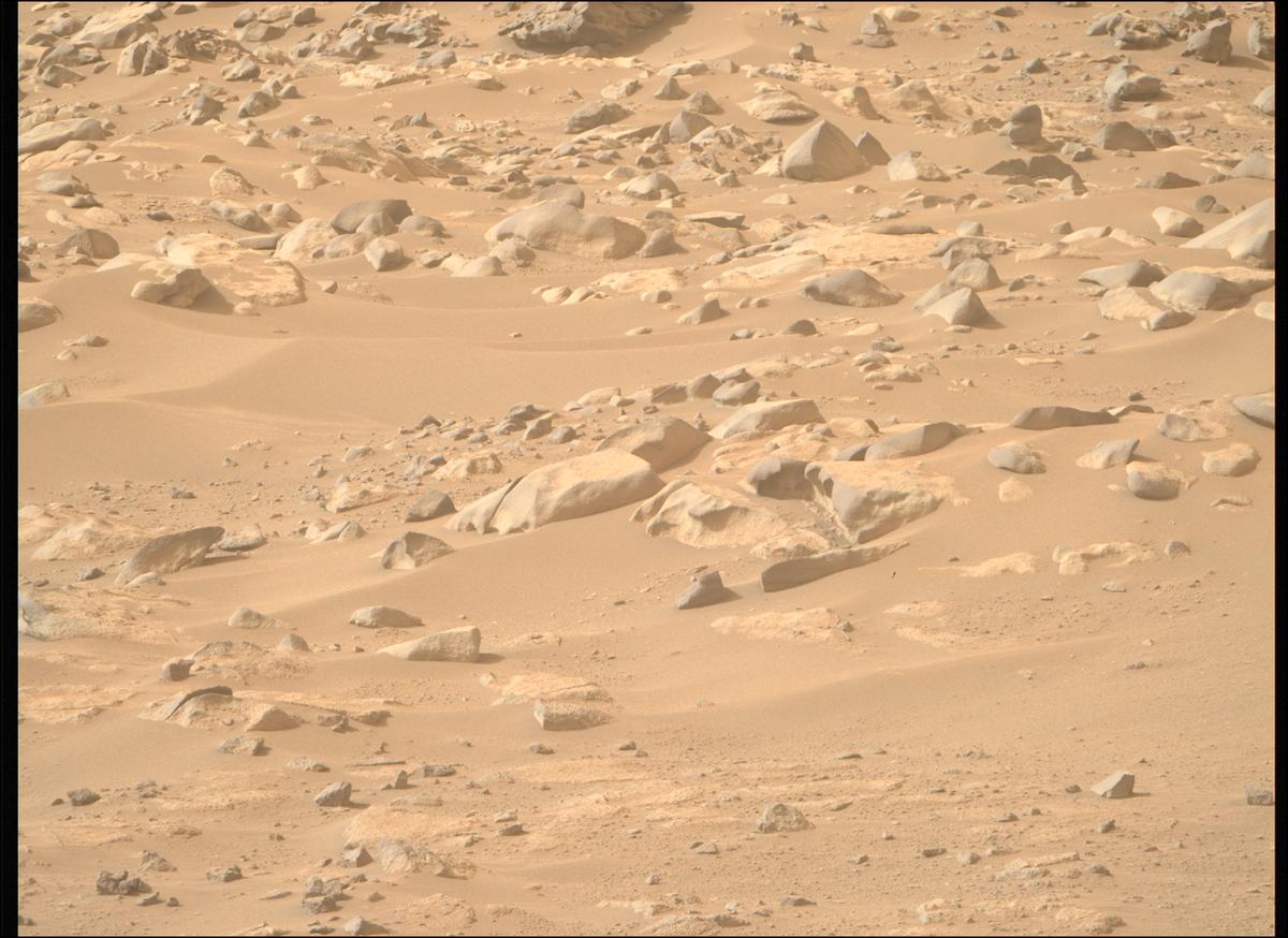 This image was taken by MCZ_RIGHT onboard NASA's Mars rover Perseverance on Sol 1112