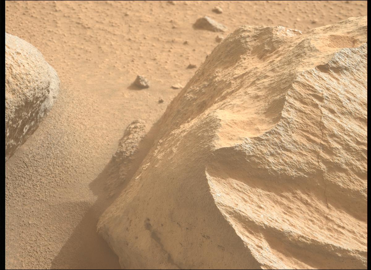 This image was taken by MCZ_LEFT onboard NASA's Mars rover Perseverance on Sol 1113