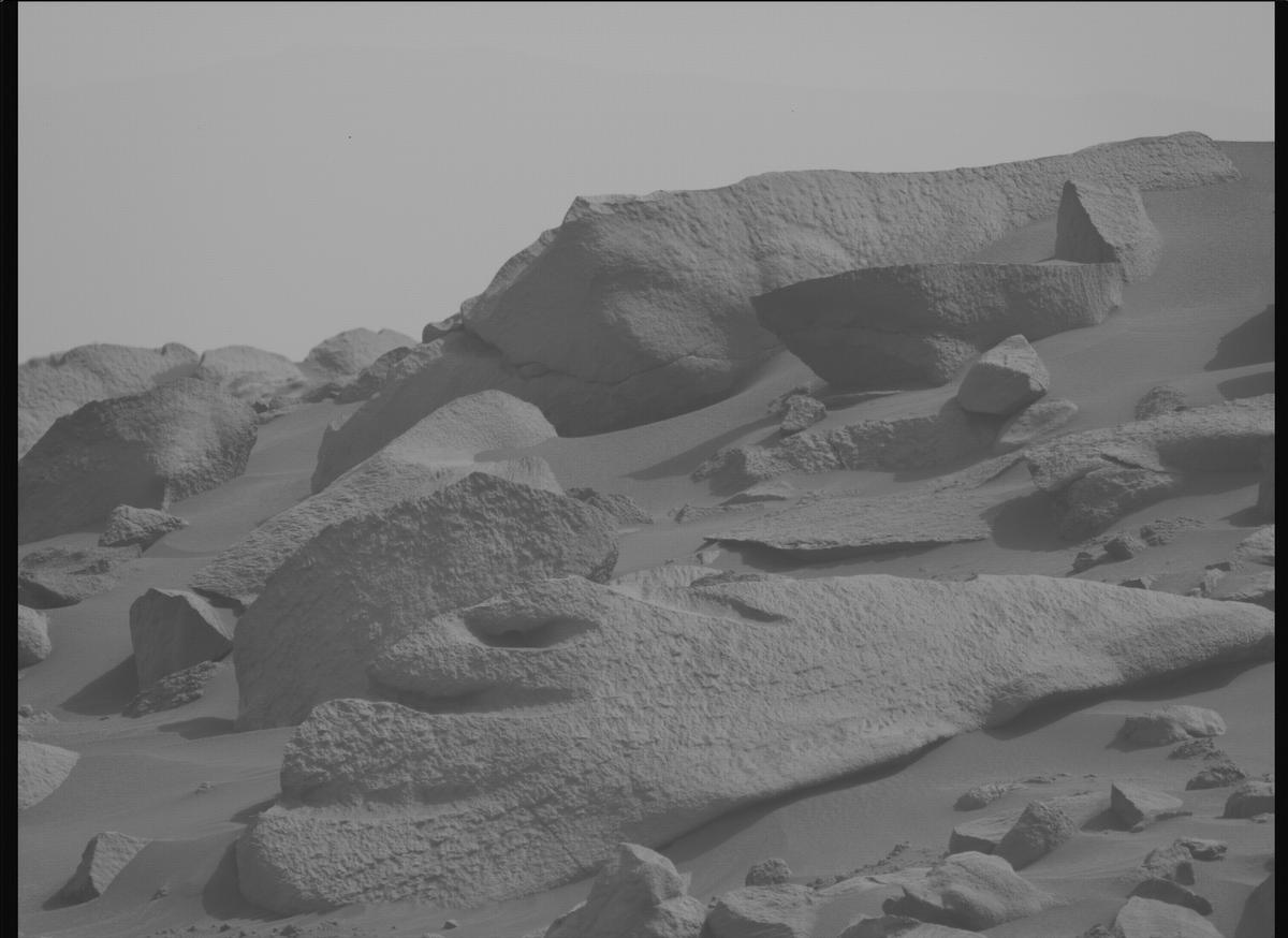 This image was taken by MCZ_LEFT onboard NASA's Mars rover Perseverance on Sol 1115