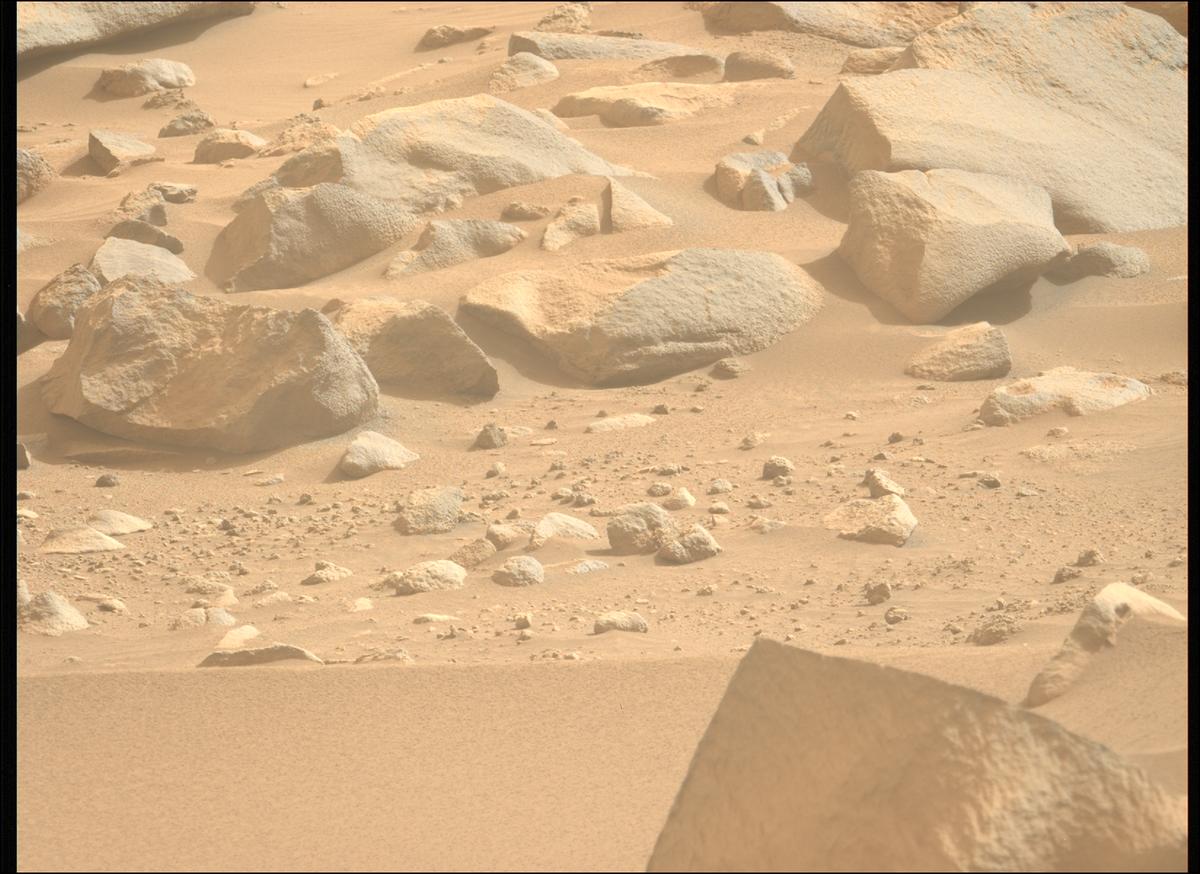 This image was taken by MCZ_LEFT onboard NASA's Mars rover Perseverance on Sol 1115