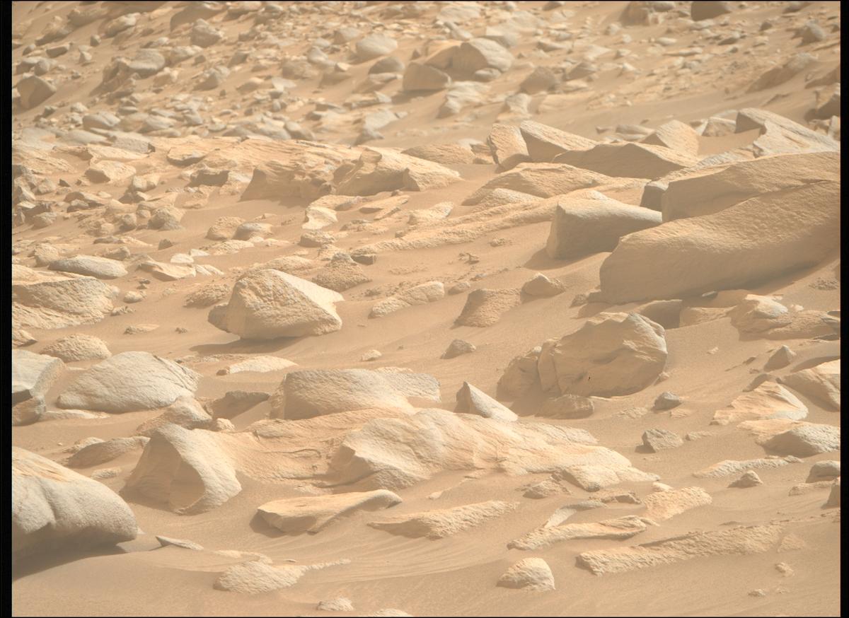 This image was taken by MCZ_RIGHT onboard NASA's Mars rover Perseverance on Sol 1115