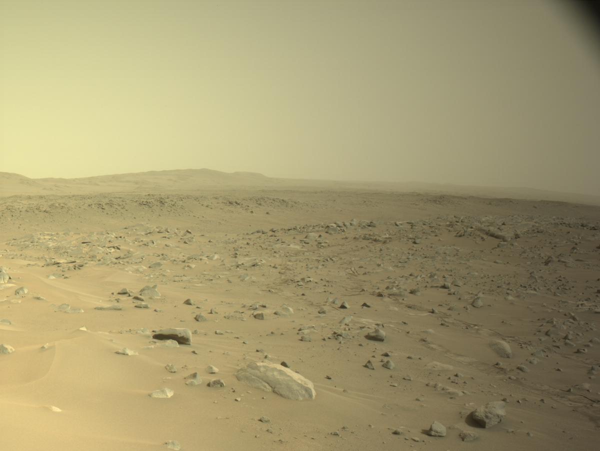 This image was taken by NAVCAM_LEFT onboard NASA's Mars rover Perseverance on Sol 1116