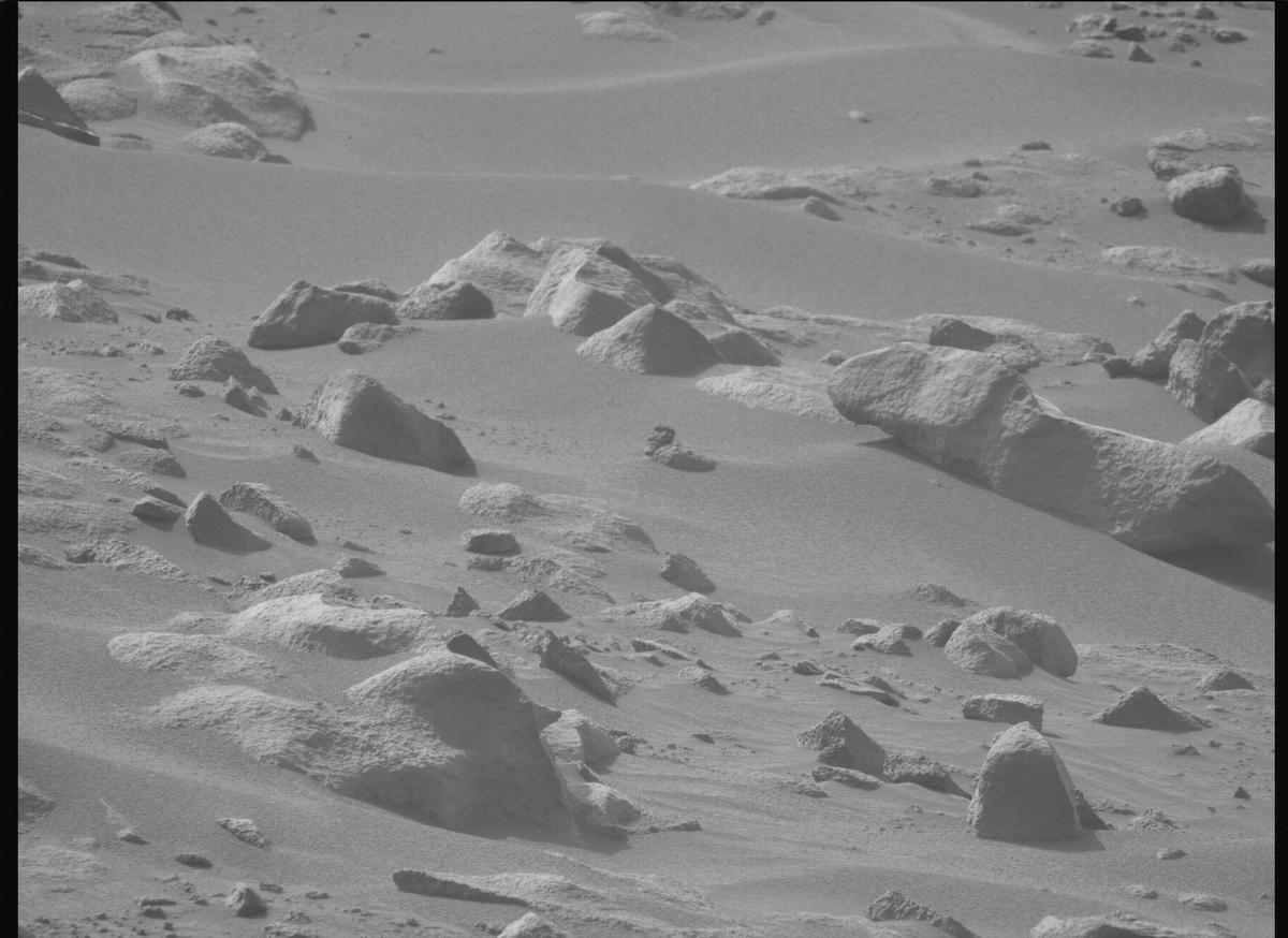 This image was taken by MCZ_LEFT onboard NASA's Mars rover Perseverance on Sol 1116