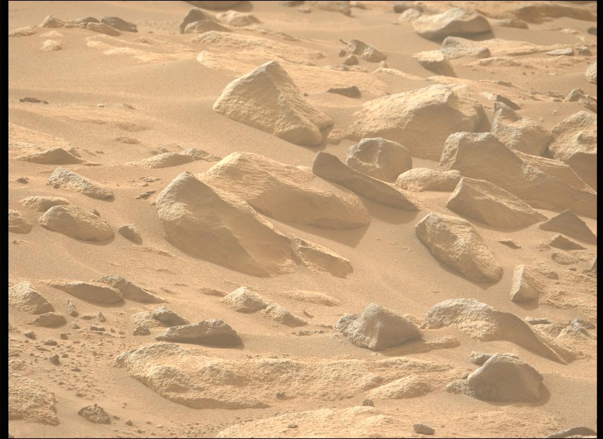 This image was taken by MCZ_LEFT onboard NASA's Mars rover Perseverance on Sol 1116