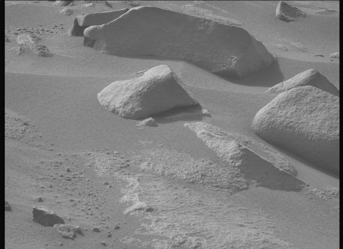 This image was taken by MCZ_LEFT onboard NASA's Mars rover Perseverance on Sol 1116