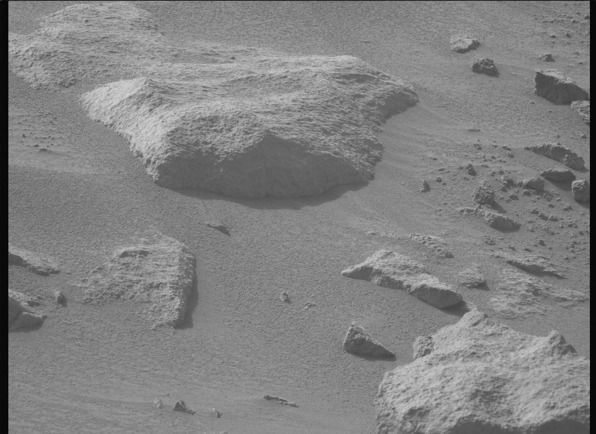 This image was taken by MCZ_LEFT onboard NASA's Mars rover Perseverance on Sol 1116