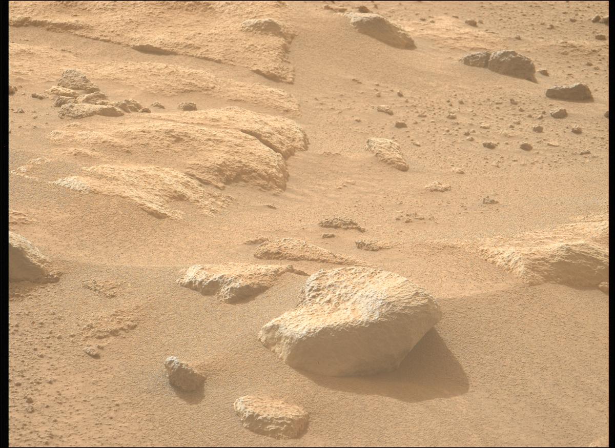 This image was taken by MCZ_LEFT onboard NASA's Mars rover Perseverance on Sol 1116