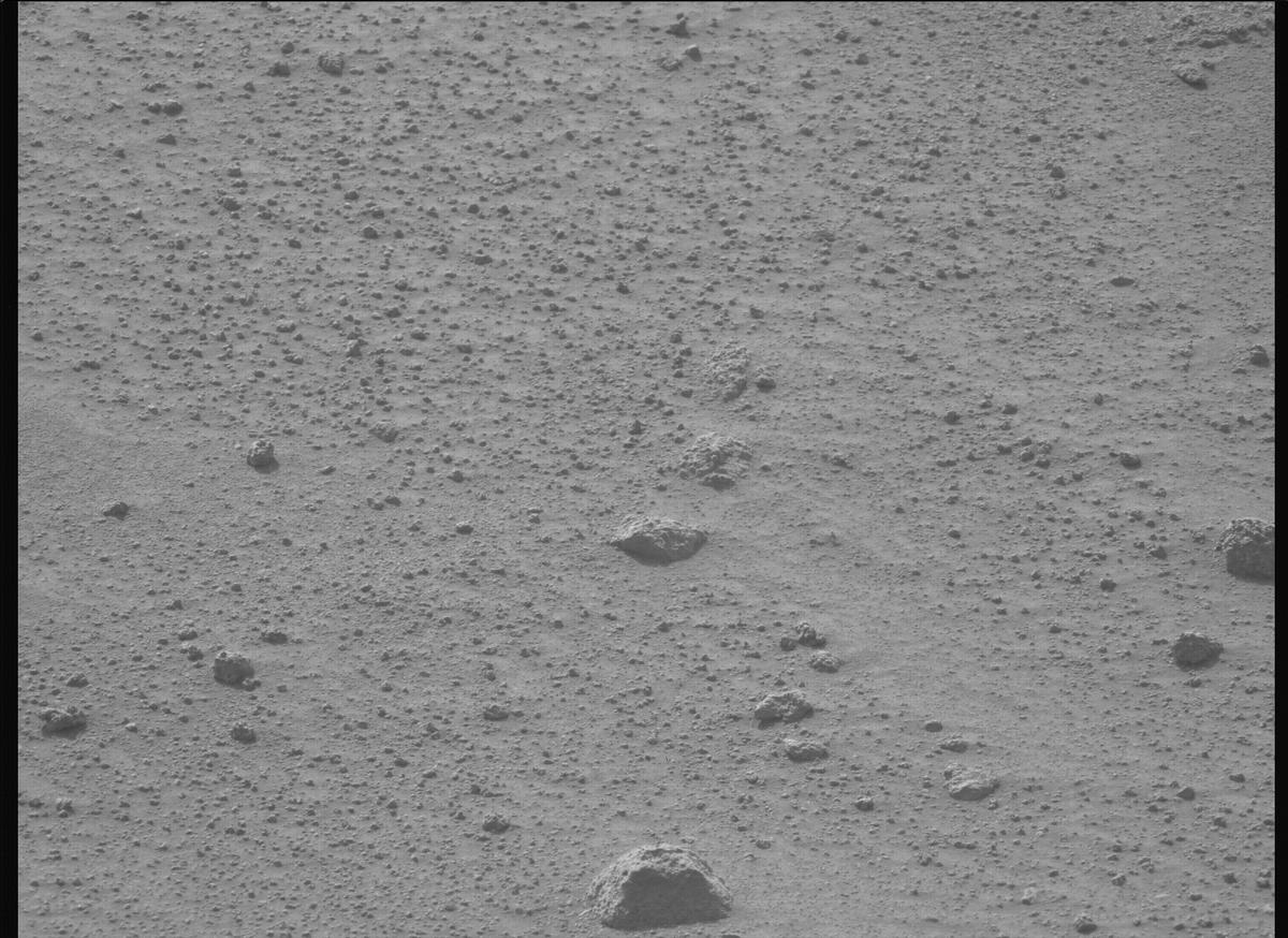 This image was taken by MCZ_LEFT onboard NASA's Mars rover Perseverance on Sol 1116